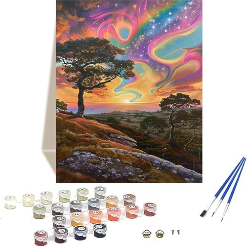 Himmel Malen Nach Zahlen Erwachsene, Landschaft Malen Nach Zahlen kinder Leinwand mit Pinseln und Acrylfarbe, DIY Paint by Numbers Adult und Anfänger, für Home Decor, Geschenk - 100x135CM Y-2 von LUOLYYEI