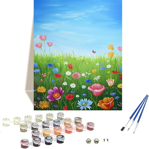 Himmel Malen Nach Zahlen Erwachsene, Wiese Malen Nach Zahlen kinder Leinwand mit Pinseln und Acrylfarbe, DIY Paint by Numbers Adult und Anfänger, für Home Decor, Geschenk - Ohne Rahmen 60 x 80 cm 8-I von LUOLYYEI