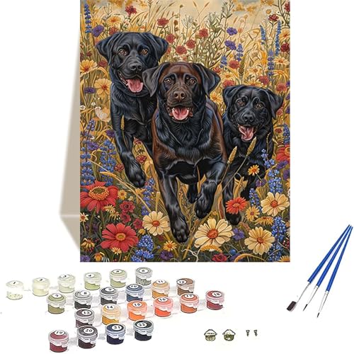 Hund Malen Nach Zahlen Erwachsene, Blume Malen Nach Zahlen kinder Leinwand mit Pinseln und Acrylfarbe, DIY Paint by Numbers Adult und Anfänger, für Home Decor, Geschenk - Ohne Rahmen 20 x 30 cm H-6 von LUOLYYEI