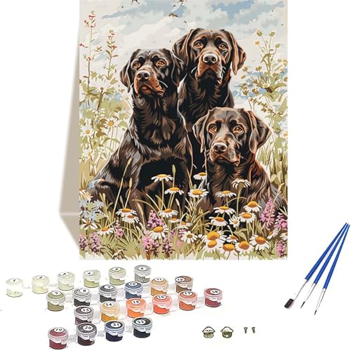 Hund Malen Nach Zahlen Erwachsene, Blume Malen Nach Zahlen kinder Leinwand mit Pinseln und Acrylfarbe, DIY Paint by Numbers Adult und Anfänger, für Home Decor, Geschenk - Ohne Rahmen 30 x 40 cm 3-0 von LUOLYYEI