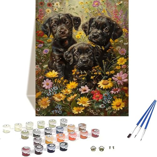 Hund Malen Nach Zahlen Erwachsene, Tier Malen Nach Zahlen kinder Leinwand mit Pinseln und Acrylfarbe, DIY Paint by Numbers Adult und Anfänger, für Home Decor, Geschenk - Ohne Rahmen 20x30 cm I-6 von LUOLYYEI