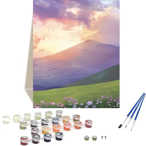 LUOLYYEI Landschaft Malen Nach Zahlen Erwachsene, Wiese Malen Nach Zahlen kinder Leinwand mit Pinseln und Acrylfarbe, DIY Paint by Numbers Adult und Anfänger, für Home Decor, Geschenk - 100x135CM 9-O von LUOLYYEI