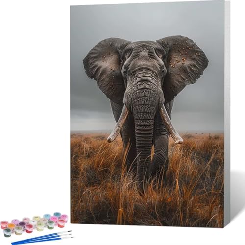 LUOLYYEI Malen Nach Zahlen, Malen Nach Zahlen Erwachsene, Wiese Elefant Malen Nach Zahlen Kits für Anfänger, Malen Nach Zahlen Erwachsene SetPainting by Numbers Zuhause Wanddekoration 40 x 50 cm 4-6 von LUOLYYEI