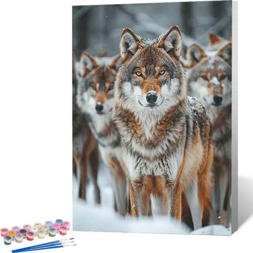 LUOLYYEI Malen Nach Zahlen Erwachsene, Malen Nach Zahlen DIY Handgemalt Ölgemälde Kit für Anfänger und Erwachsene Mit Pinseln und Acrylfarbe, Ohne Rahmen 30 x 40cm Schnee Wolf 9-T von LUOLYYEI