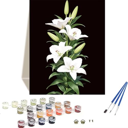 LUOLYYEI Malen Nach Zahlen Erwachsene 100 x 135 cm Kleines Format - Malen Nach Zahlen Kinder Blume - Lilie Paint by Numbers Basteln DIY Bastelset Leinwand Als Geschenk Home Wand Dekor T-2 von LUOLYYEI