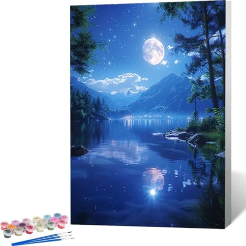 LUOLYYEI Malen Nach Zahlen Erwachsene Mond Landschaft - Paint by Numbers Mit Pinseln und Acrylfarbe, DIY Set Basteln Erwachsene mit Pinseln und Acrylfarben für Home Decor 60 x 80 cm W-0 von LUOLYYEI