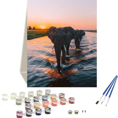 LUOLYYEI Malen Nach Zahlen Erwachsene Sonnenuntergang, Malen Nach Zahlen Kinder DIY Handgemalt Ölgemälde Kit für Anfänger und Erwachsene Mit Acrylfarbe Elefant Malen nach Zahlen 50 x 65 cm U-4 von LUOLYYEI