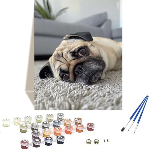 LUOLYYEI Malen Nach Zahlen Erwachsene Tier, Malen Nach Zahlen Kinder Hund DIY Paint by Numbers Adult Handgemalt Ölgemälde Kit für Anfänger Kinder und Erwachsene Als Geschenk Wand Dekor 50 x 65 cm A-5 von LUOLYYEI