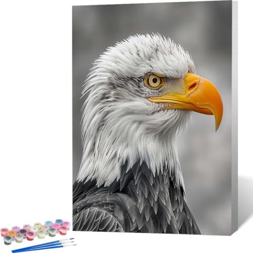 LUOLYYEI Malen Nach Zahlen Erwachsene Tier Adler - Paint by Numbers Mit Pinseln und Acrylfarbe, DIY Set Basteln Erwachsene mit Pinseln und Acrylfarben für Home Decor 60 x 80 cm 9-3 von LUOLYYEI