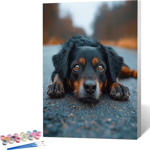 LUOLYYEI Malen Nach Zahlen Tier Hund Paint by Numbers Adult Erwachsene Malen Nach Zahlen Kits auf Leinwand Öl Hand Malerei mit Pinseln Malerei Kits Erwachsene Kunsthandwerk für Zuhause 50 x 65cm 6-C von LUOLYYEI