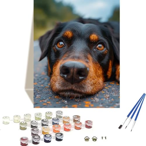 LUOLYYEI Malen nach Zahlen Komplett Set, Malen Nach Zahlen Kinder Acrylfarben, Pinseln, Zubehör, Geschenkbox - Hund DIY Gemälde Bastelset Kit mit Leinwand für Erwachsene, 70 x 95 cm, Tier N-4 von LUOLYYEI