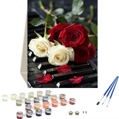 LUOLYYEI Malen nach Zahlen für Erwachsene: Beginner to Advanced Number Painting Kit Malen Nach Zahlen Kinder – Klavier DIY Kunst and Crafts – Kits enthalten Acrylfarbe – Rose 40 x 50 cm J-N von LUOLYYEI