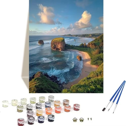 LUOLYYEI Malen nach Zahlen für Erwachsene: Beginner to Advanced Number Painting Kit Malen Nach Zahlen Kinder – Landschaft DIY Kunst and Crafts – Kits enthalten Acrylfarbe – Meer 40 x 50 cm O-J von LUOLYYEI