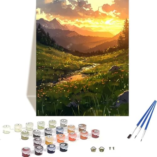 LUOLYYEI Malen nach Zahlen für Erwachsene: Beginner to Advanced Number Painting Kit Malen Nach Zahlen Kinder – Wiese DIY Kunst and Crafts – Kits enthalten Acrylfarbe – Sonnenuntergang 40 x 50 cm 8-0 von LUOLYYEI