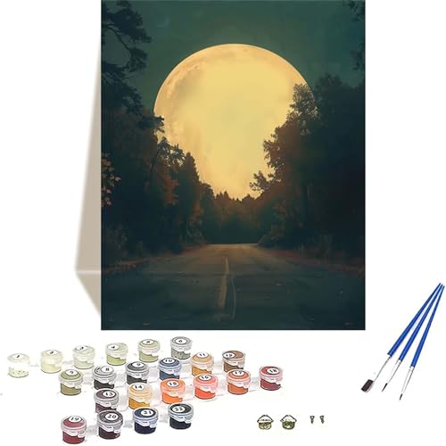 LUOLYYEI Mond Malen Nach Zahlen Erwachsene, Landschaft Malen Nach Zahlen kinder Leinwand mit Pinseln und Acrylfarbe, DIY Paint by Numbers Adult und Anfänger, für Home Decor, Geschenk - 20 x 30 cm Z-M von LUOLYYEI