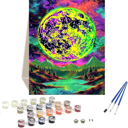 LUOLYYEI Mond Malen Nach Zahlen Erwachsene, Sternenhimmel Malen Nach Zahlen kinder Leinwand mit Pinseln und Acrylfarbe, DIY Paint by Numbers Adult und Anfänger, für Home Decor, Geschenk - 30x40CM F-7 von LUOLYYEI