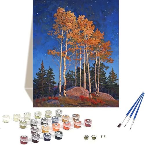 LUOLYYEI Wald Malen Nach Zahlen Erwachsene, Landschaft Malen Nach Zahlen kinder Leinwand mit Pinseln und Acrylfarbe, DIY Paint by Numbers Adult und Anfänger, für Home Decor, Geschenk - 20 x 30 cm 9-Q von LUOLYYEI