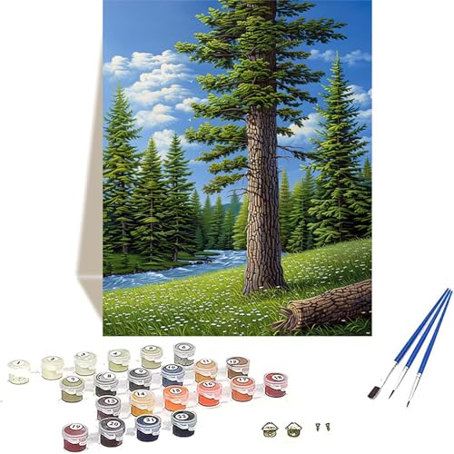 LUOLYYEI Wald Malen Nach Zahlen Erwachsene, Landschaft Malen Nach Zahlen kinder Leinwand mit Pinseln und Acrylfarbe, DIY Paint by Numbers Adult und Anfänger, für Home Decor, Geschenk - 20 x 30 cm X-Y von LUOLYYEI