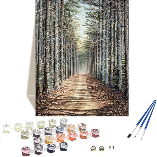 LUOLYYEI Wald Malen Nach Zahlen Erwachsene, Landschaft Malen Nach Zahlen kinder Leinwand mit Pinseln und Acrylfarbe, DIY Paint by Numbers Adult und Anfänger, für Home Decor, Geschenk - 30 x 40 cm P-6 von LUOLYYEI