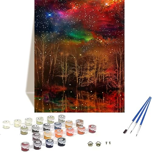 LUOLYYEI Wald Malen Nach Zahlen Erwachsene, Sternenhimmel Malen Nach Zahlen kinder Leinwand mit Pinseln und Acrylfarbe, DIY Paint by Numbers Adult und Anfänger, für Home Decor, Geschenk - 30x40CM W-0 von LUOLYYEI