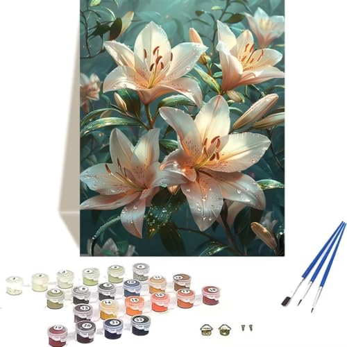 Malen Nach Zahlen Erwachsene Lilie, Malen Nach Zahlen Kinder Blume DIY Paint by Numbers Adult Handgemalt Ölgemälde Kit für Anfänger Kinder und Erwachsene Einfach Als Geschenk Wand Dekor (30x40cm) 0-3 von LUOLYYEI