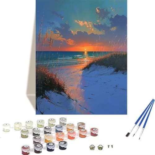 Malen Nach Zahlen Erwachsene Meer, Malen Nach Zahlen Kinder Sonnenuntergang DIY Paint by Numbers Adult Handgemalt Ölgemälde Kit für Anfänger Kinder und Erwachsene Als Geschenk Wand Dekor (30x40cm) 4-Q von LUOLYYEI