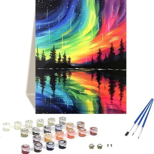 Malen Nach Zahlen Erwachsene Wald, Malen Nach Zahlen Kinder Aurora DIY Paint by Numbers Adult Handgemalt Ölgemälde Kit für Anfänger Kinder und Erwachsene Einfach Als Geschenk Wand Dekor (30x40cm) 2-8 von LUOLYYEI