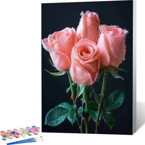 Malen Nach Zahlen Kits für Erwachsene - Blume Rose Malen Nach Zahlen Erwachsene, Paint by Numbers Aufstellen Malen Nach Zahlen auf Leinwand für Geschenke nach Hause Wanddekoration (50x65cm) 2-3 von LUOLYYEI