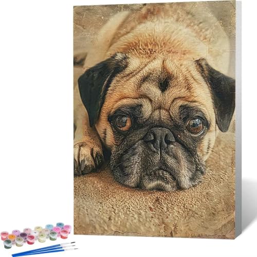 Malen Nach Zahlen für Erwachsene, Paint by Numbers Tier Hund Malen Nach Zahlen für Kinder, Malen Nach Zahlen Von 9-Jahren Mädchen Malen Nach Zahlen Kits für Anfänger als Geschenk 70 x 95 cm Y-B von LUOLYYEI