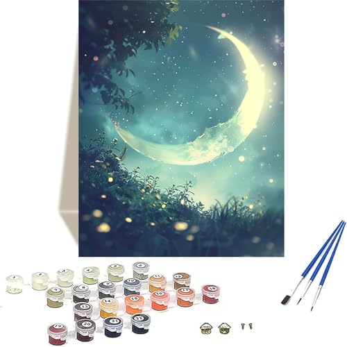 Mond Malen Nach Zahlen Erwachsene, Sternenhimmel Malen Nach Zahlen kinder Leinwand mit Pinseln und Acrylfarbe, DIY Paint by Numbers Adult und Anfänger, für Home Decor, Geschenk - 50 x 65 cm Z-5 von LUOLYYEI