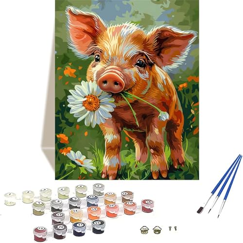 Schwein Malen Nach Zahlen Erwachsene, Chrysantheme Malen Nach Zahlen kinder Leinwand mit Pinseln und Acrylfarbe, DIY Paint by Numbers Adult und Anfänger, für Home Decor, Geschenk - 20 x 30 cm 2-6 von LUOLYYEI