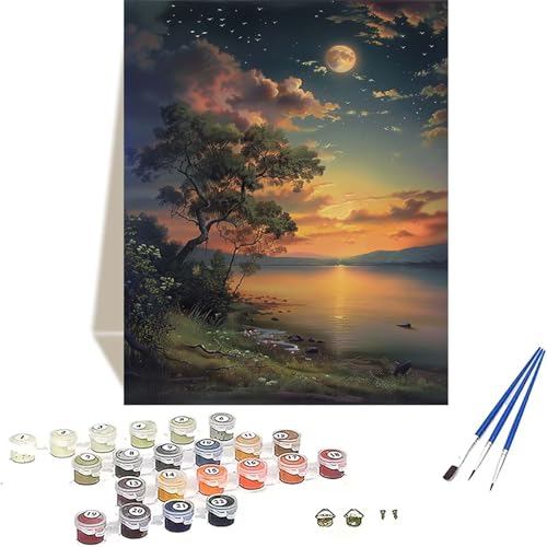 Sonnenuntergang Malen Nach Zahlen Erwachsene, Landschaft Malen Nach Zahlen kinder Leinwand mit Pinseln und Acrylfarbe, DIY Paint by Numbers Adult und Anfänger, für Home Decor, Geschenk - 50x65 cm C-D von LUOLYYEI