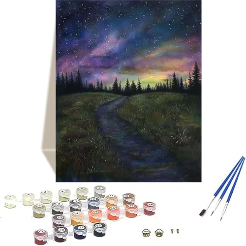 Sternenhimmel Malen Nach Zahlen Erwachsene, Landschaft Malen Nach Zahlen kinder Leinwand mit Pinseln und Acrylfarbe, DIY Paint by Numbers Adult und Anfänger, für Home Decor, Geschenk - 20 x 30 cm F-8 von LUOLYYEI