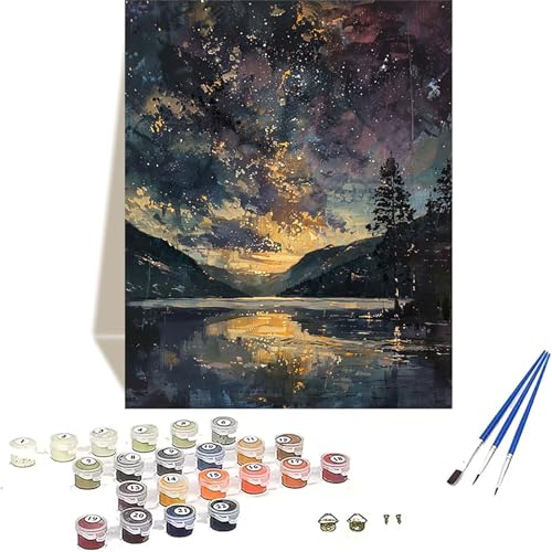 Sternenhimmel Malen Nach Zahlen Erwachsene, Landschaft Malen Nach Zahlen kinder Leinwand mit Pinseln und Acrylfarbe, DIY Paint by Numbers Adult und Anfänger, für Home Decor, Geschenk - 30x40CM 1-9 von LUOLYYEI