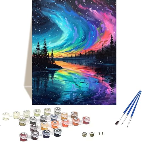 Sternenhimmel Malen Nach Zahlen Erwachsene, Landschaft Malen Nach Zahlen kinder Leinwand mit Pinseln und Acrylfarbe, DIY Paint by Numbers Adult und Anfänger, für Home Decor, Geschenk - 30x40CM Q-E von LUOLYYEI