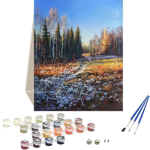 Wald Malen Nach Zahlen Erwachsene, Herbst Malen Nach Zahlen kinder Leinwand mit Pinseln und Acrylfarbe, DIY Paint by Numbers Adult und Anfänger, für Home Decor, Geschenk - Ohne Rahmen 20x30 cm Z-9 von LUOLYYEI