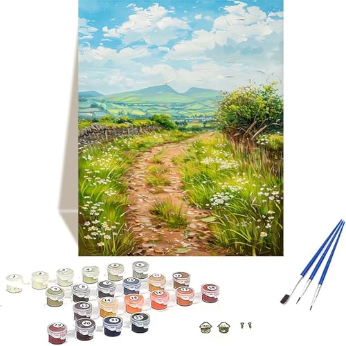 Wiese Malen Nach Zahlen Erwachsene, Landschaft Malen Nach Zahlen kinder Leinwand mit Pinseln und Acrylfarbe, DIY Paint by Numbers Adult und Anfänger, für Home Decor, Geschenk - 100 x 135 cm 6-N von LUOLYYEI