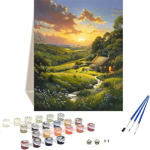 Wiese Malen Nach Zahlen Erwachsene, Sonnenuntergang Malen Nach Zahlen kinder Leinwand mit Pinseln und Acrylfarbe, DIY Paint by Numbers Adult und Anfänger, für Home Decor, Geschenk - 20x30 cm S-0 von LUOLYYEI