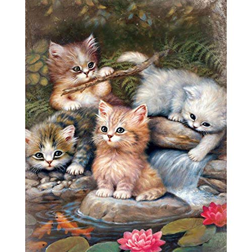 Diamond Painting Katze Spielt Im Wasser Diamond Painting Set Full Kinder,Diamant Painting Bilder Erwachsene, Daiments Painting Anfänger,5D Diamant Painting Full Home Decor Art und Crafts 30X40Cm von LWLFC