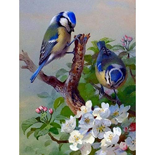 Diamond Painting Meise Pflückt Blumen 5D Diamant Painting,Diamant Painting Bilder für Erwachsene Geschenk Hause Wall Decoration,Diamond Painting Set Full Kunst Handwerk .Diamant Bilder(30Cmx40Cm) von LWLFC