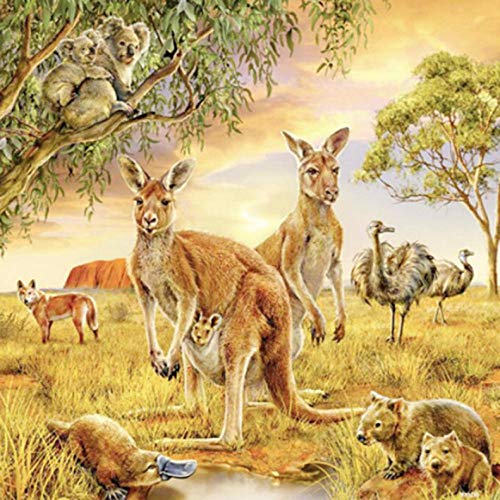 LWLFC Diamond Painting Känguru, Strauß 5D Diamant Painting,Diamant Painting Bilder Erwachsene Kinder 5D Diamant Painting Full Diamond Painting Set Full Kunsthandwerk für Heimwand Deko 30X40Cm von LWLFC