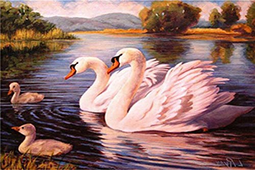 LWLFC Diamond Painting Schwäne, Enten 5D Diamant Painting,Diamant Painting Bilder Erwachsene Kinder 5D Diamant Painting Full Diamond Painting Set Full Kunsthandwerk für Heimwand Deko 30X40Cm von LWLFC