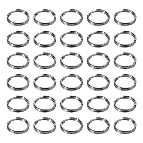 100 Stück 20 mm Schlüsselringe Schlüsselanhänger mit Doppelschlaufen, kleine Metallringe, Verbindungsstücke für Schmuck, Halsketten, Armbänder, Ohrringe, Basteln, Ornamente und DIY-Kunst von LWMLWM