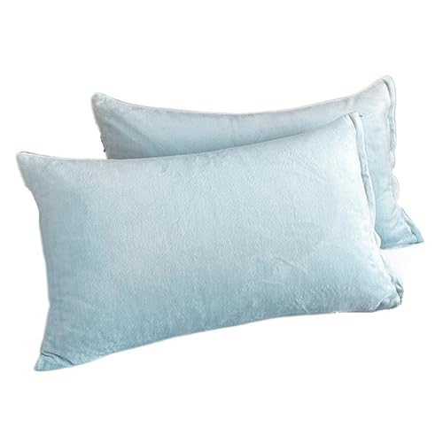 LXFIUO Plüsch Kissenbezug Samtstoff-Kissenbezug, Bequeme Bettwäsche, Schlafkissenbezug, einfarbig, Winter-Warmer Flanell-Kissenbezug Für Schlafzimmer(Blue,40x60cm 2pc) von LXFIUO