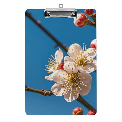 Klemmbrett mit Pflaumenblüten, stabiles leichtes Acryl-Klemmbrett, A4, Standardgröße 21,6 x 31,8 cm, Büro-Klemmbrett mit flachem Metallclip, niedliches Klemmbrett zum Aufhängen für die Arbeit von LYHVSFJW