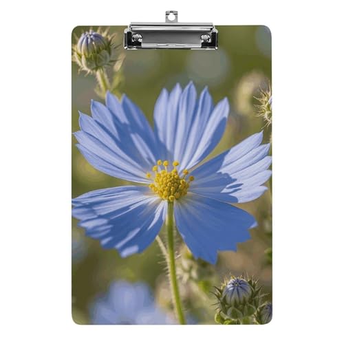 Klemmbrett mit blauen Blumenblättern, stabiles leichtes Acryl-Klemmbrett, A4, Standardgröße 21,6 x 31,8 cm, Büro-Klemmbrett mit flachem Metallclip, niedliches Klemmbrett zum Aufhängen für die Arbeit von LYHVSFJW