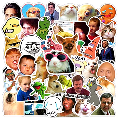 Meme Aufkleber 50 Stück Wasserdichte Cute Classic Sticker für Laptop Auto Fahrrad Wasserflaschen Skateboard Scrapbook Gepäck Motorrad,Vinyl Aesthetic Funny Meme Aufkleber für Teenager Kinder Mädchen von LYLSDSB