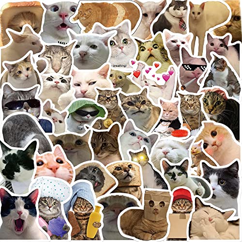 Meme Cat Aufkleber Katze Sticker Set 50 Stücke Niedlich Deko für Auto Laptop Skateboard Fahrrad Moped Motorrad Fahrrad Computer,Geeignet für Erwachsene Kinder von LYunMu