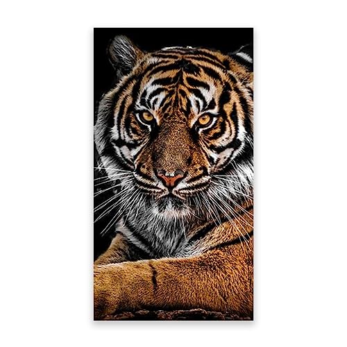 Afrikanische Tiger-TierLeinwand Gemälde. Tier-Leinwand-Kunst Gemälde. Moderne Drucke, Kunstwerk, Wohnzimmer, Heimdekoration, 40 x 80 cm (15,7 x 31,5), rahmenlos von LZ6J8C9