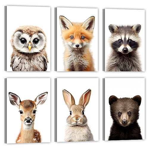 LZIMU Baby Safari Tiere Kinderzimmer Bild auf Leinwand 6 Stück niedliche Eule Fuchs Waschbär Hirsch Kaninchen Bär Poster Leinwand Bild Wanddekoration (Gerahmt, 20.00x30.00cms x6) von LZIMU